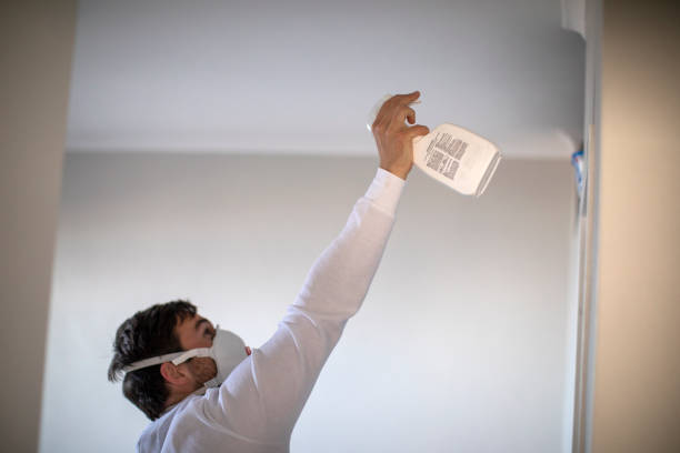 Best Mold Testing  in Wellston, MO